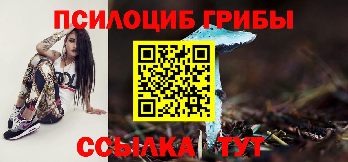 цена наркотик  Вход с VPN  Асино  Псилоцибиновые грибы MAGIC MUSHROOMS 
